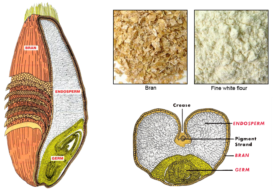 Wheat Milling Process Flow Chart Pdf