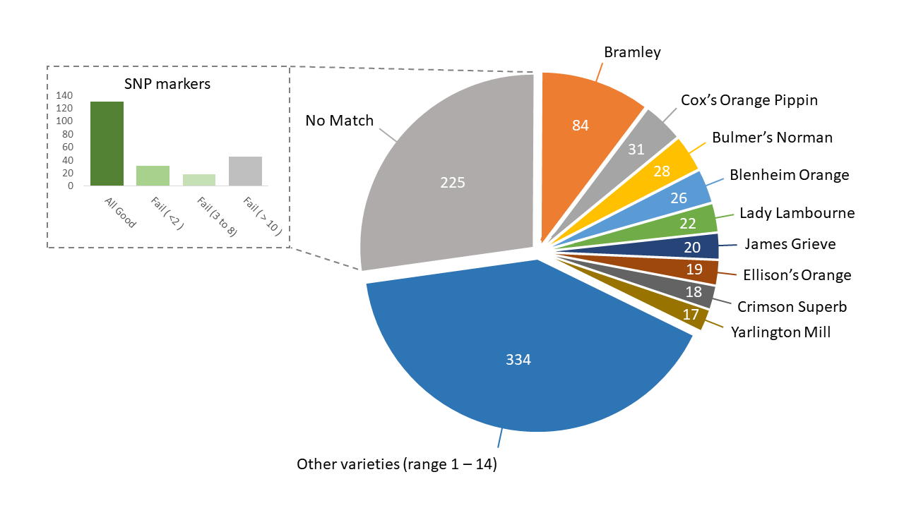 apple_bar_chart.png